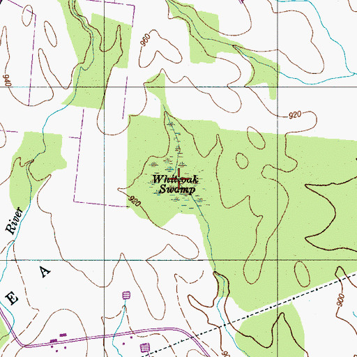 Topographic Map of Whiteoak Swamp, TN