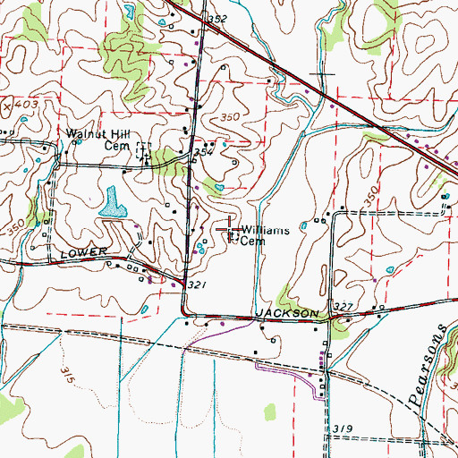 Topographic Map of Williams Cemetery, TN