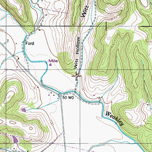Topographic Map of Witt Hollow, TN