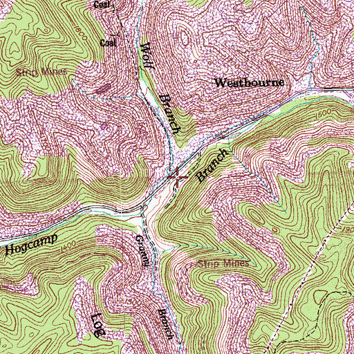 Topographic Map of Wolf Branch, TN