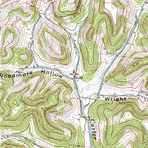 Topographic Map of Woodmore Hollow, TN