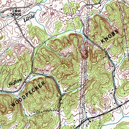 Topographic Map of Woodpecker Knobs, TN