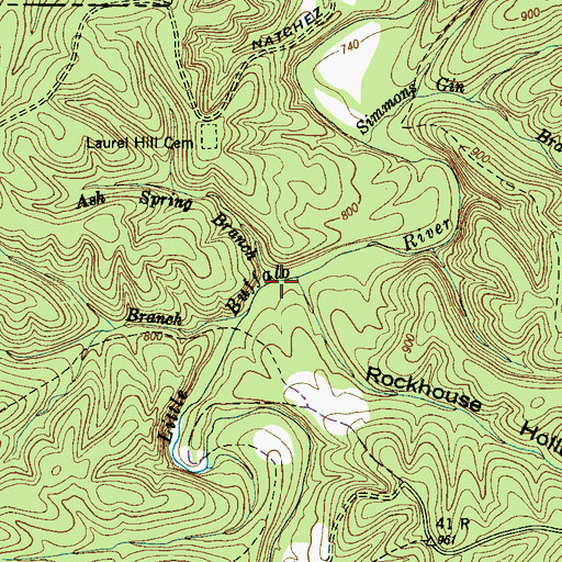 Topographic Map of Ash Spring Branch, TN