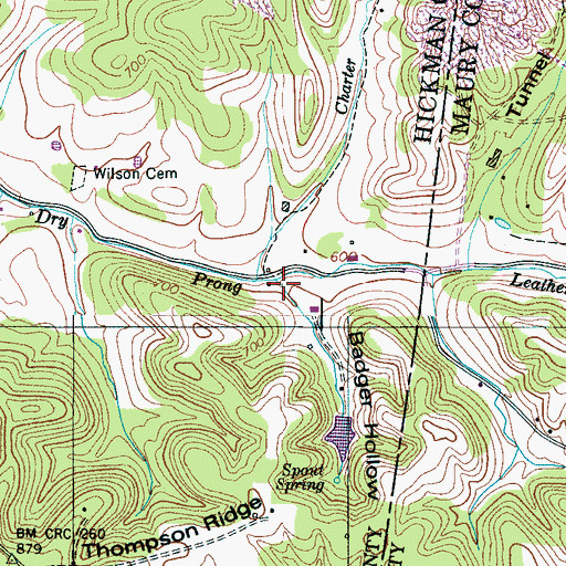 Topographic Map of Badger Hollow, TN