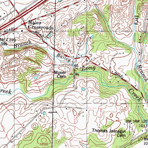 Topographic Map of Bailey Branch, TN