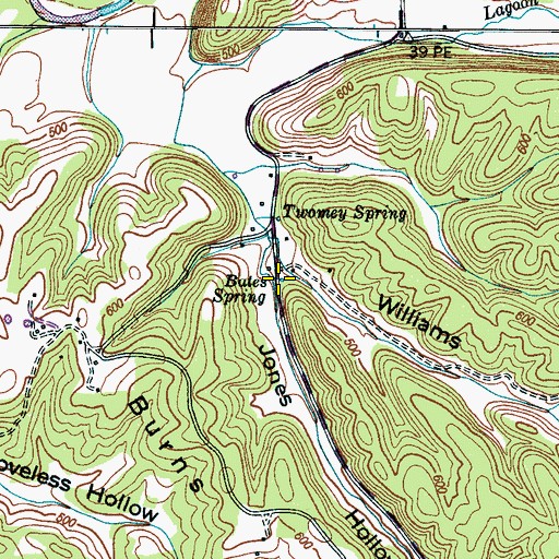 Topographic Map of Bates Spring, TN