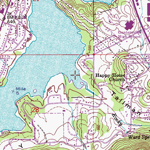 Topographic Map of Tallman Hollow, AL
