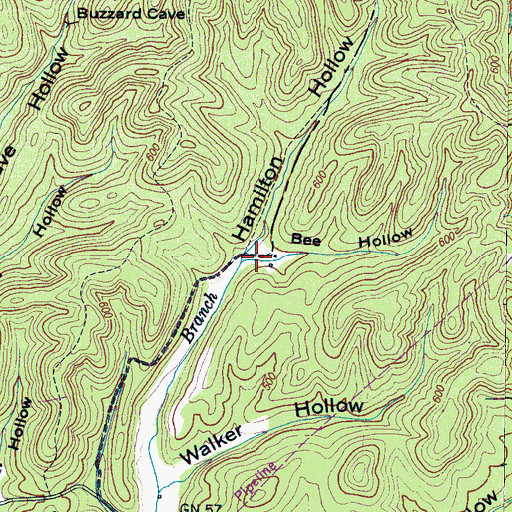 Topographic Map of Bee Hollow, TN