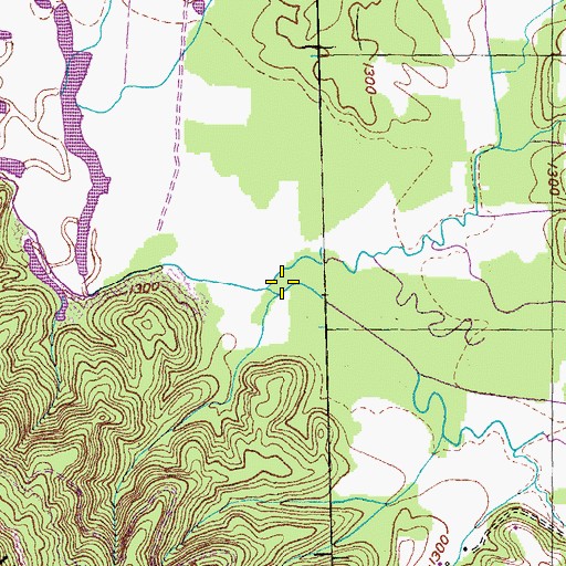 Topographic Map of Beech Fork, TN