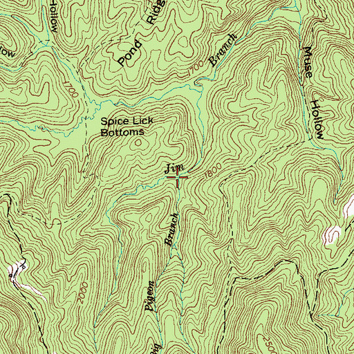 Topographic Map of Big Pigeon Branch, TN