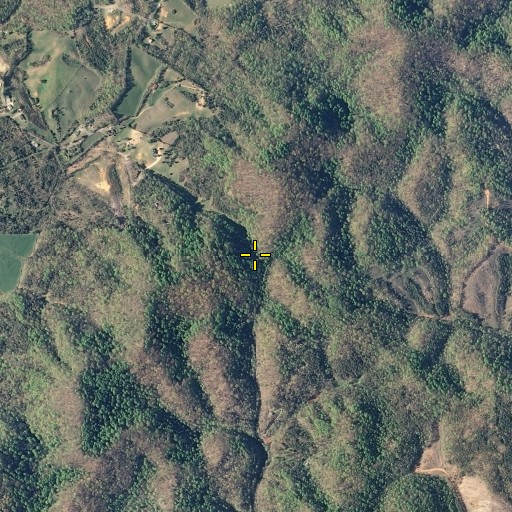 Aerial/Satellite Image of Bill Jack Gap, TN