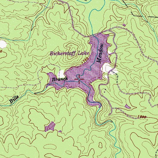 Topographic Map of Bills Branch, TN