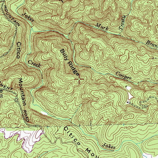 Topographic Map of Billy Ridge, TN