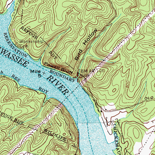 Topographic Map of Bird Hollow, TN
