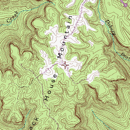 Topographic Map of Black House Mountain, TN