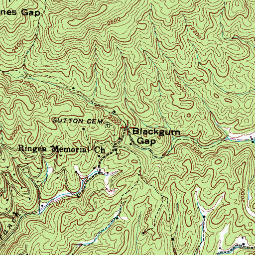 Topographic Map of Blackgun Gap, TN