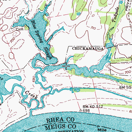 Topographic Map of Blue Spring Slough, TN
