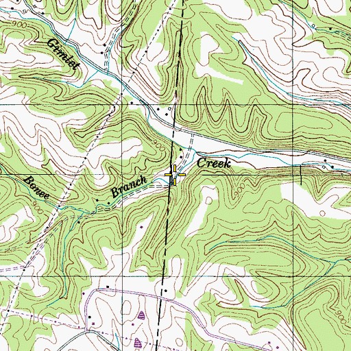 Topographic Map of Bonee Branch, TN