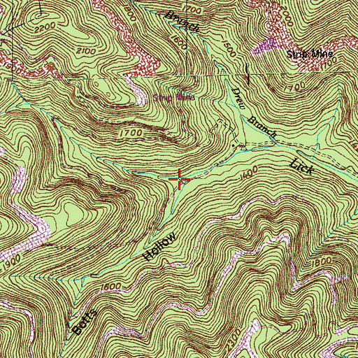 Topographic Map of Botts Hollow, TN