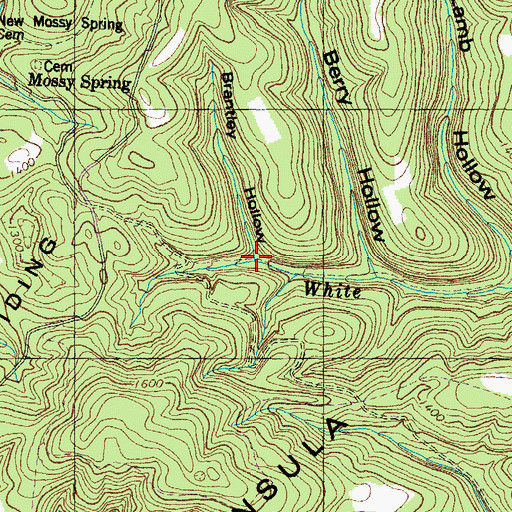 Topographic Map of Brantley Hollow, TN