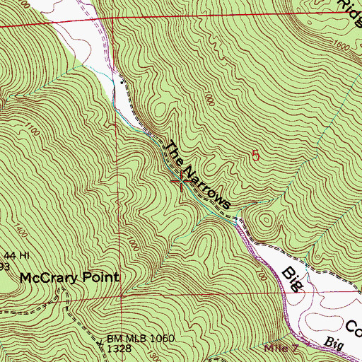 Topographic Map of The Narrows, AL