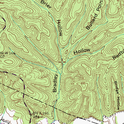 Topographic Map of Brier Hollow, TN