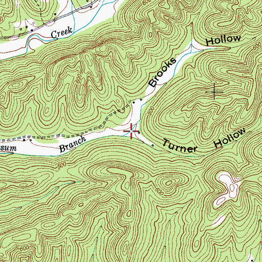Topographic Map of Brooks Hollow, TN