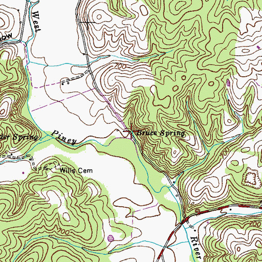 Topographic Map of Bruce Spring, TN