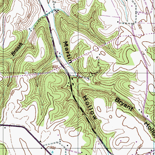 Topographic Map of Bryant Hollow, TN