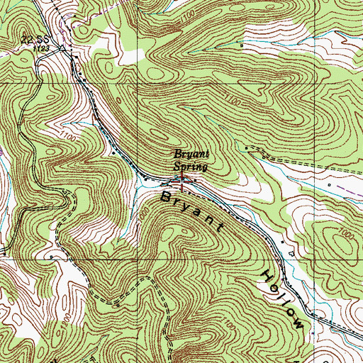 Topographic Map of Bryant Spring, TN
