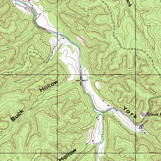 Topographic Map of Buck Hollow, TN