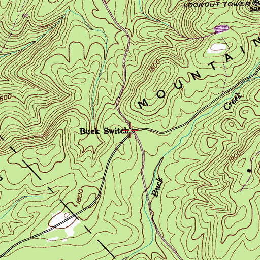 Topographic Map of Buck Switch, TN