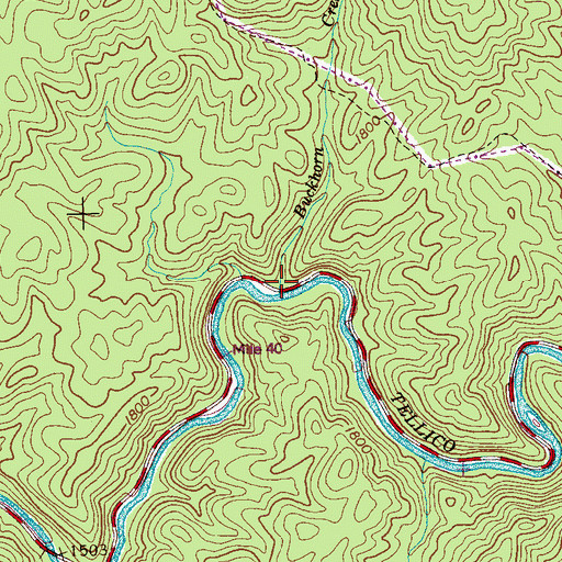 Topographic Map of Buckhorn Creek, TN
