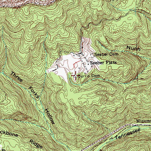Topographic Map of Burris Cemetery, TN