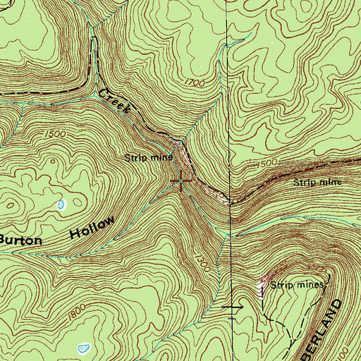 Topographic Map of Burton Hollow, TN