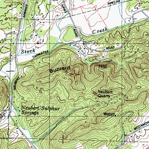 Topographic Map of Buzzard Hill, TN