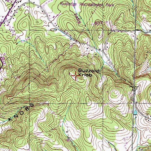 Topographic Map of Buzzard Knob, TN