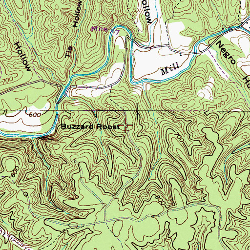 Topographic Map of Buzzard Roost, TN