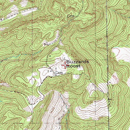 Topographic Map of Buzzards Roost, TN
