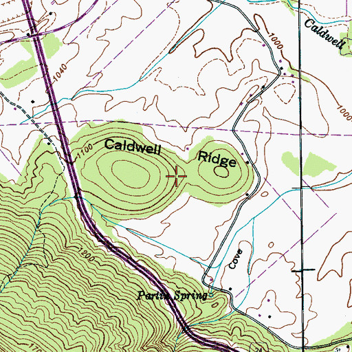 Topographic Map of Caldwell Ridge, TN
