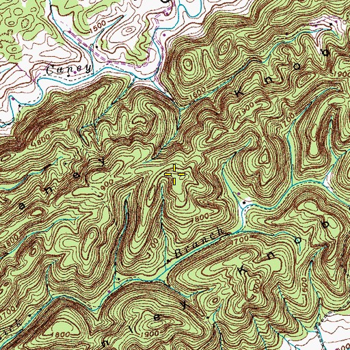 Topographic Map of Caney Knobs, TN