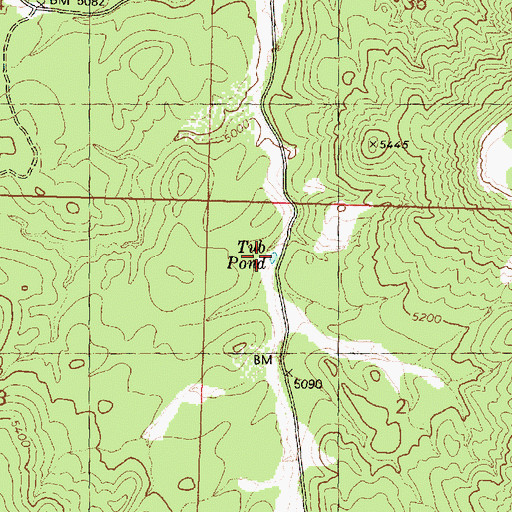 Topographic Map of Tub Pond, AZ