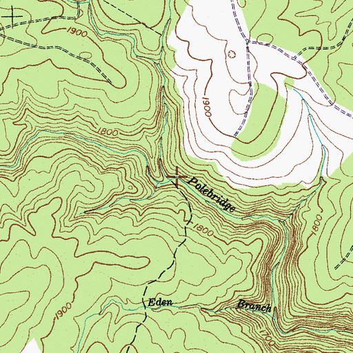 Topographic Map of Card Branch, TN