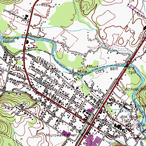 Topographic Map of Cardwell Branch, TN