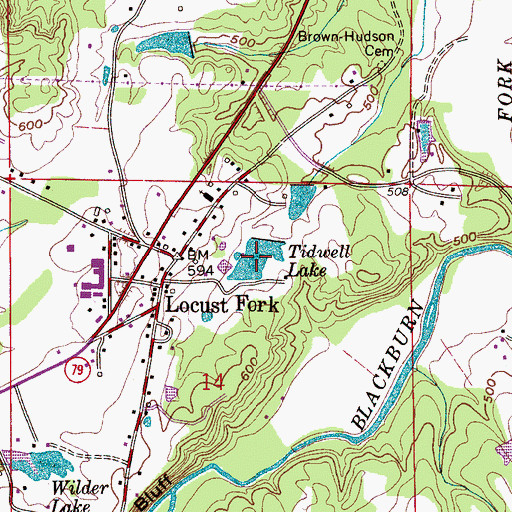 Topographic Map of Tidwell Lake, AL