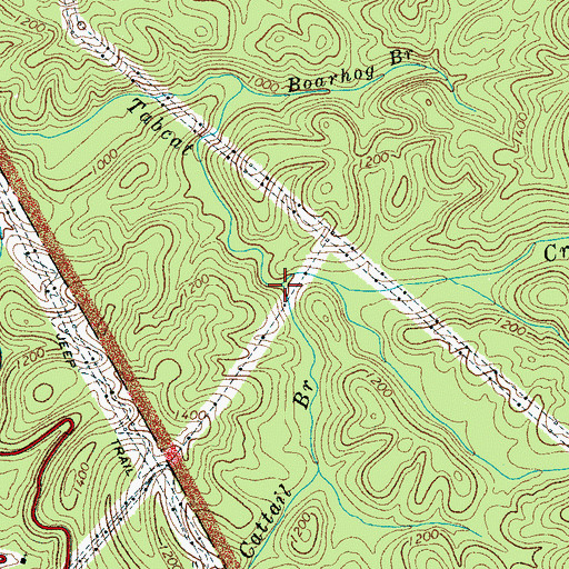 Topographic Map of Cattail Branch, TN