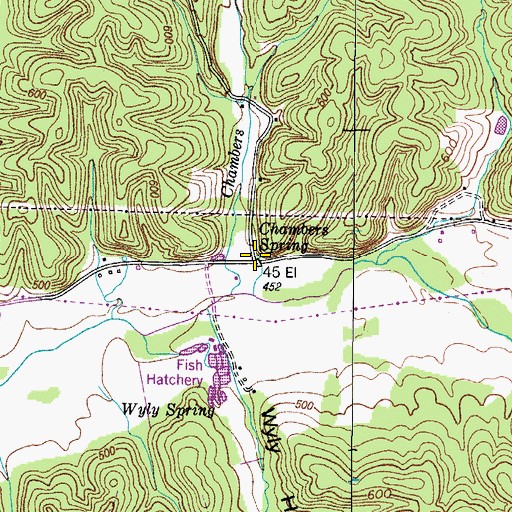 Topographic Map of Chambers Spring, TN