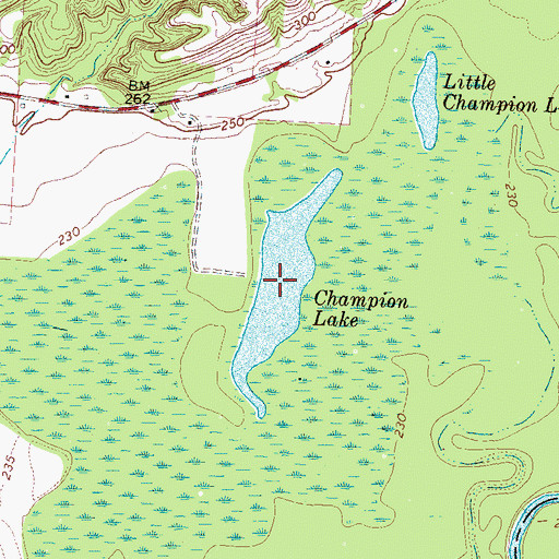 Topographic Map of Champion Lake, TN