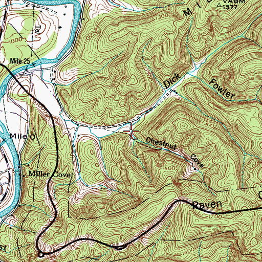 Topographic Map of Chestnut Cove, TN