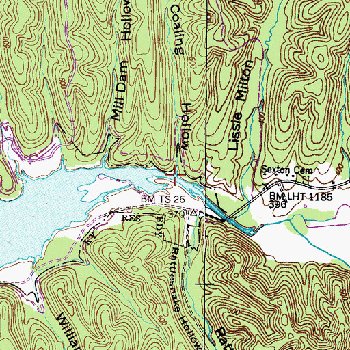 Topographic Map of Coaling Hollow, TN